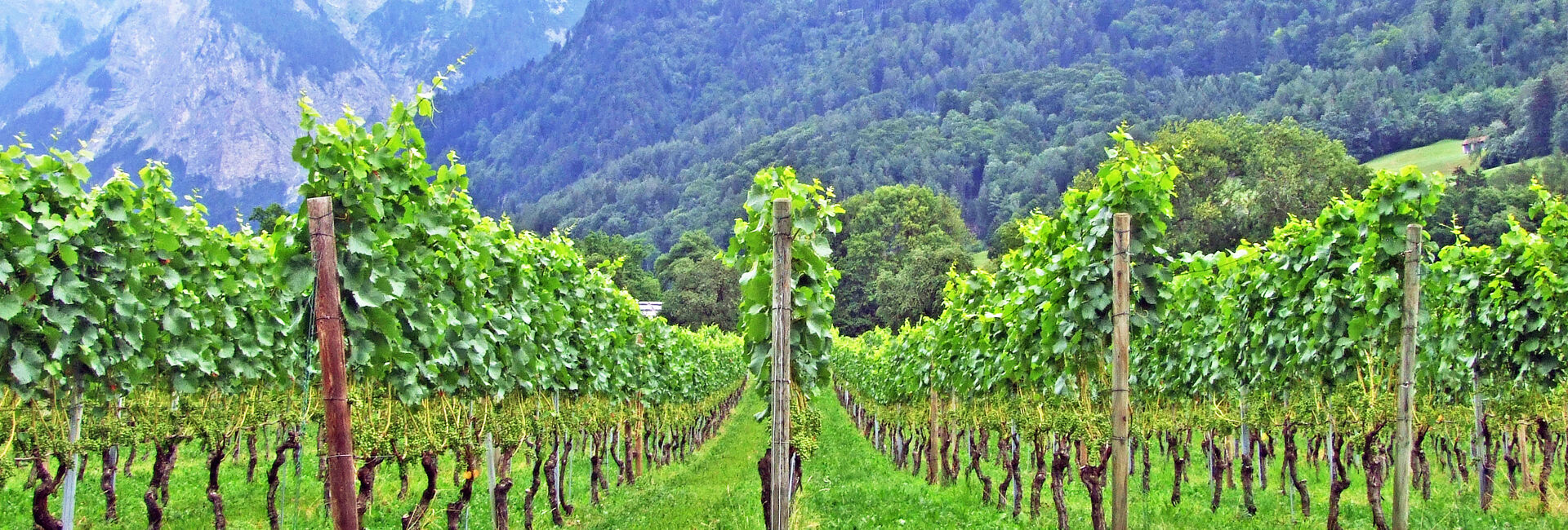 Ein kleines Geheimnis aus der Bündner Herrschaft