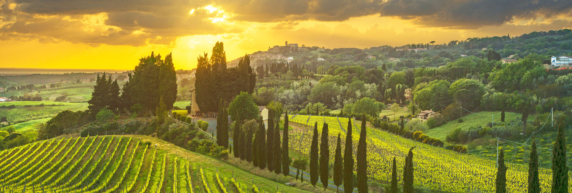 Am Ende der Zypressenallee – Bolgheri