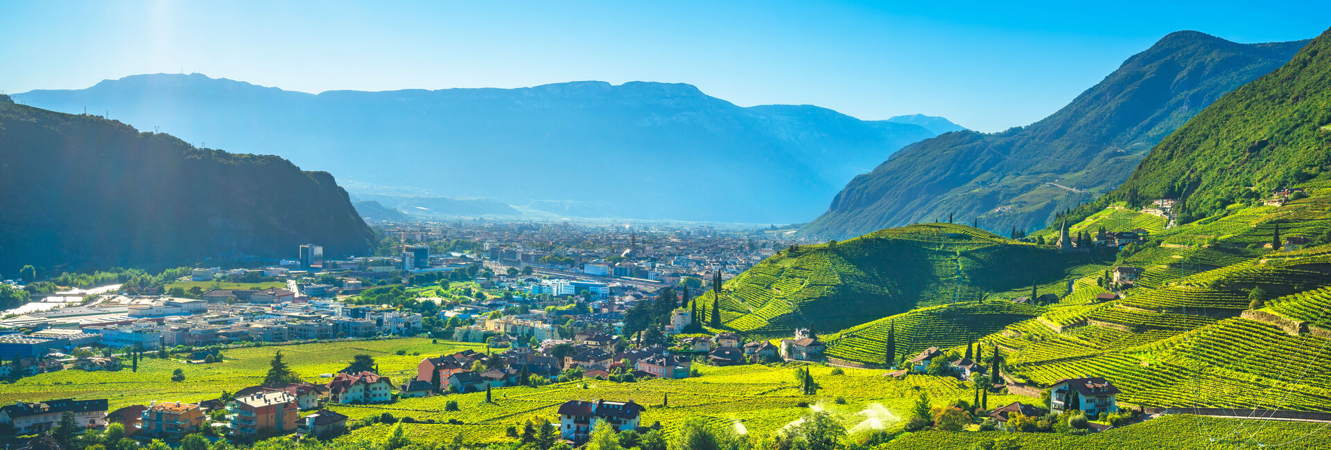 Lagrein – ein Sieg über die Widrigkeit